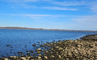 Come To Him As A Living Stone