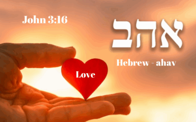 John 3:16 magnificently declares God’s heart His love for us—a love that knows no bounds!