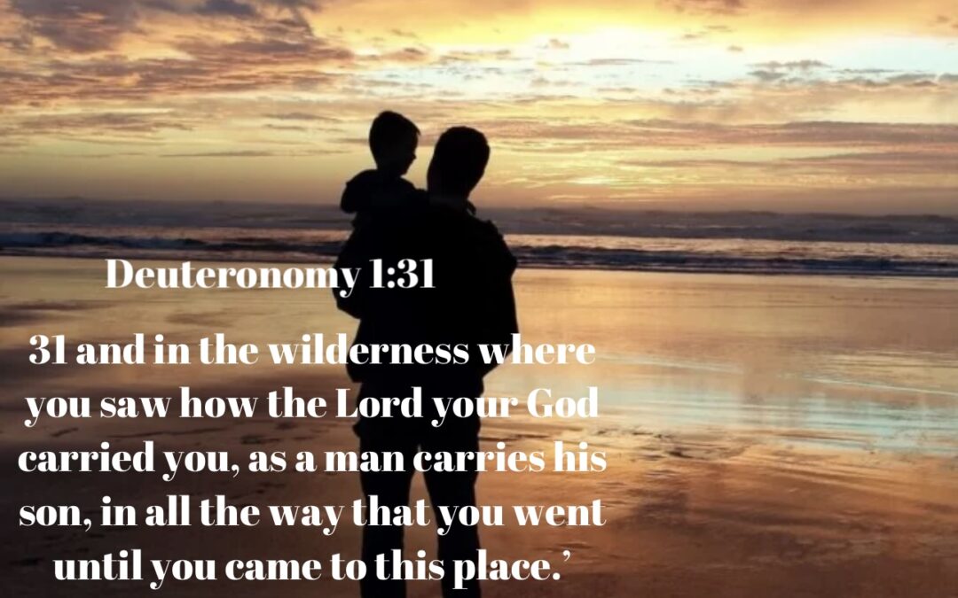 Honoring all the wonderful dads