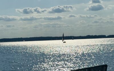 Longing of My Heart: Psalm 84