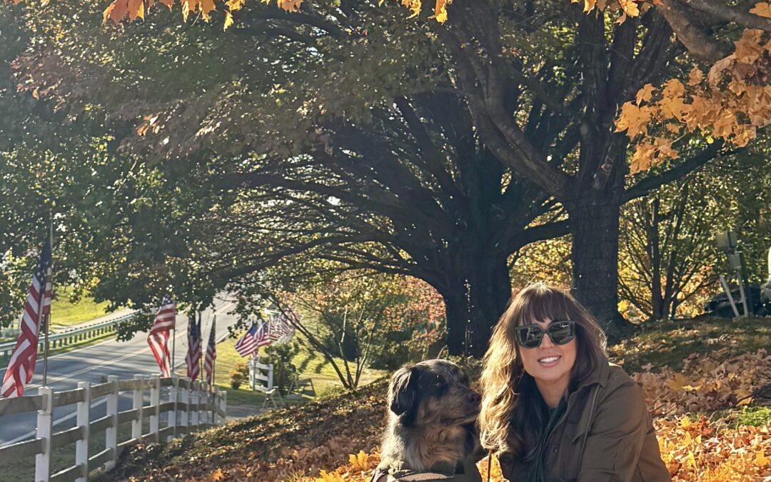 Lessons from the Changing Leaves