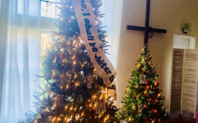 Sometimes, we all need a visual reminder of God’s grace and power…