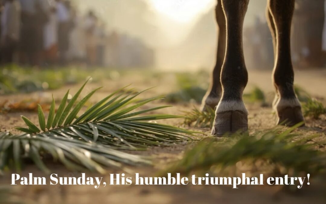 Small, Humble…Chosen for something big!