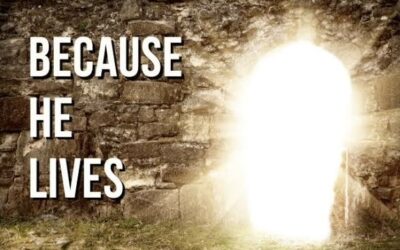 Because He Lives🎶Â