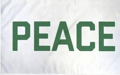 True Peace Talks, In the life and ministry of Jesus, the Son of God, SHALOM took on flesh. He did not just talk about peace; He embodied it.